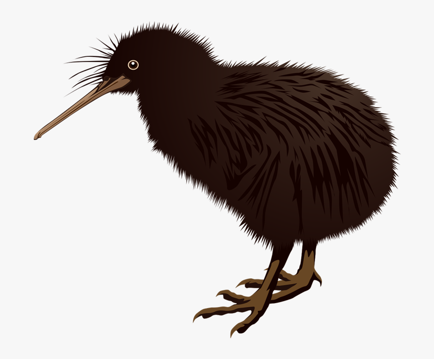Kiwi Bird Clipart Kea, HD Png Download, Free Download