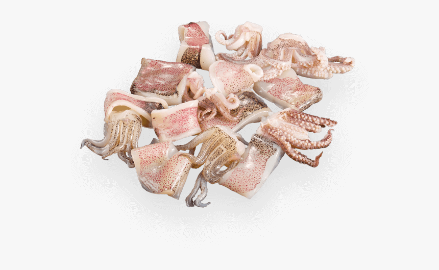 Patagonian Squid Rings And Tentacles, HD Png Download, Free Download