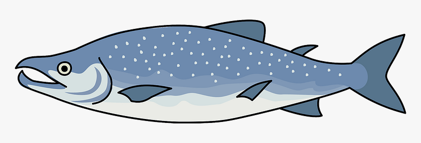 Salmon Fish Clipart, HD Png Download, Free Download