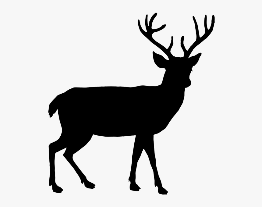 Deer Head Silhouette Png, Transparent Png, Free Download