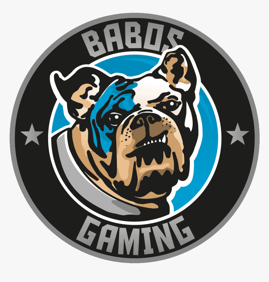 Babos Cs - Go Team - Babos Gaming Logo, HD Png Download, Free Download