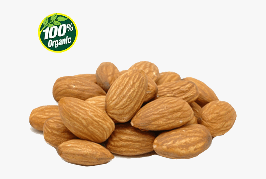 Nut, HD Png Download, Free Download
