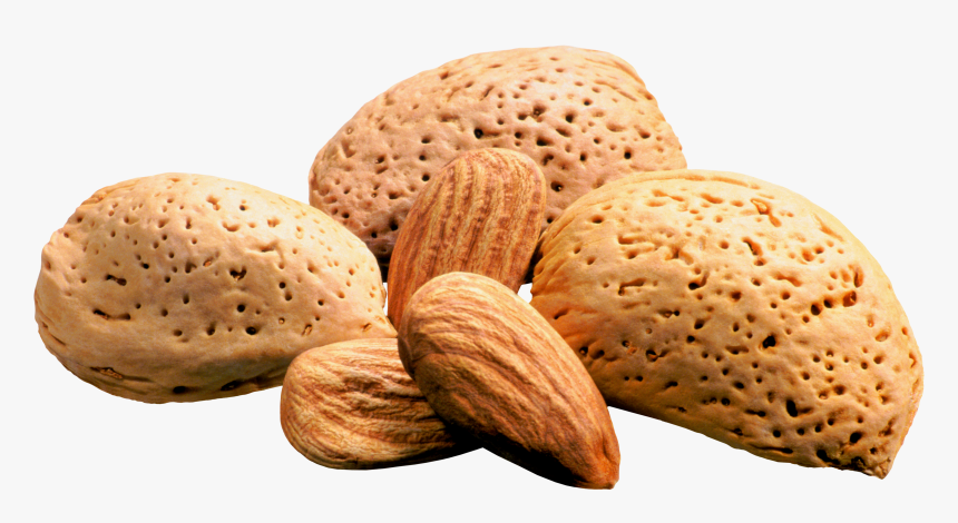 Nuts Transparent Almond, HD Png Download, Free Download