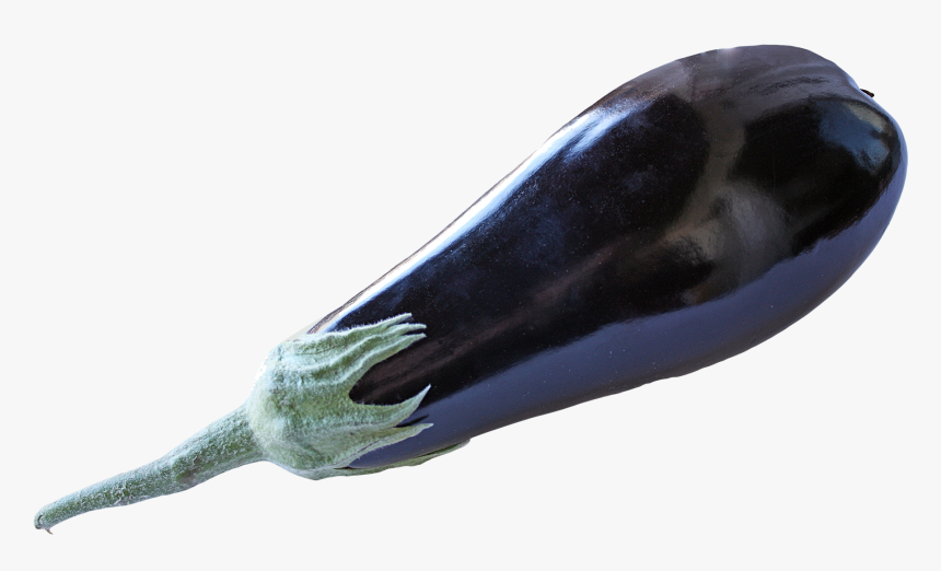 Eggplant, HD Png Download, Free Download