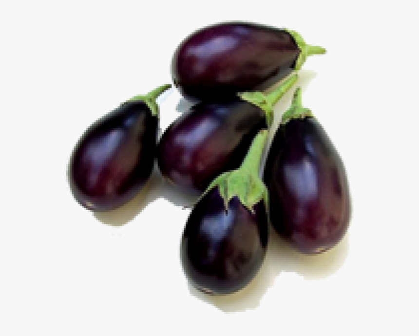 Brinjal Png, Transparent Png, Free Download