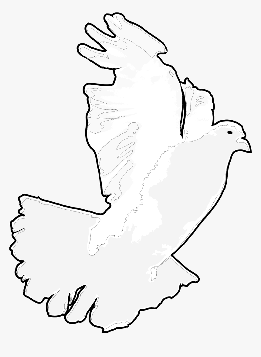 White Dove / White Pigeon Clip Arts - Pigeons And Doves, HD Png Download, Free Download
