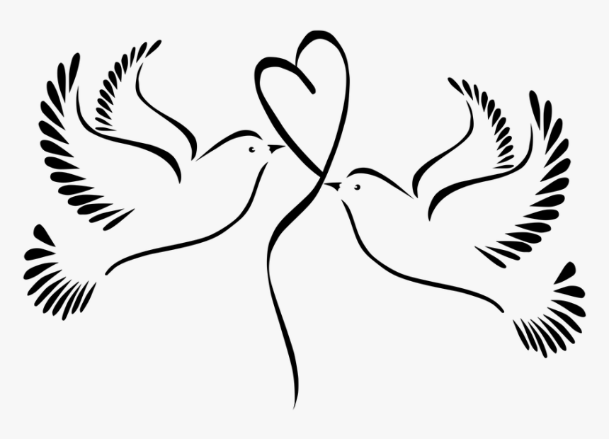Download Vector Dove Wedding Png Transparent Png Kindpng