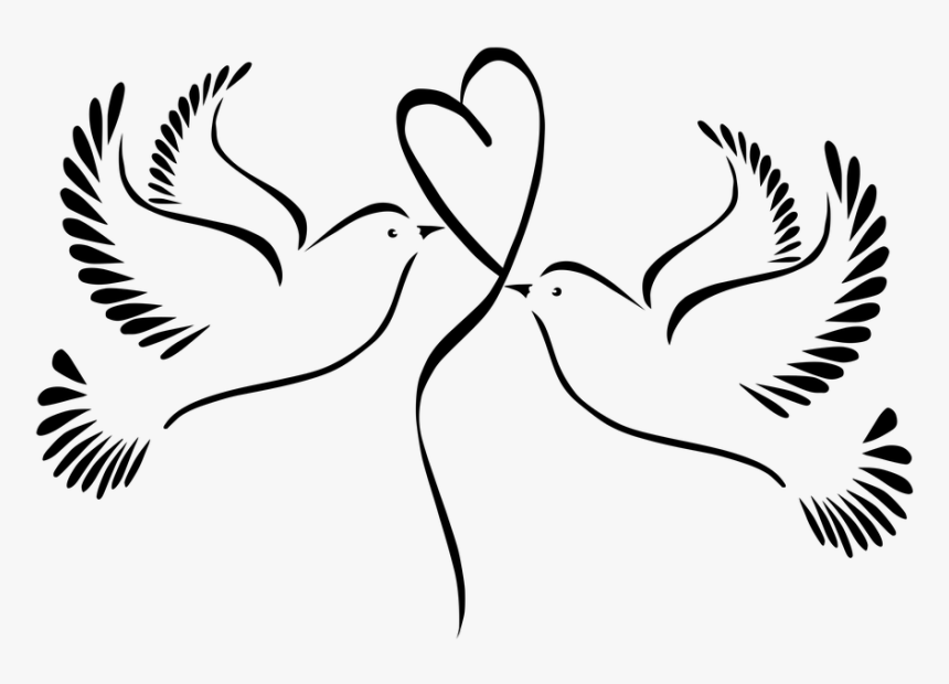 Vector Dove Wedding Png, Transparent Png, Free Download