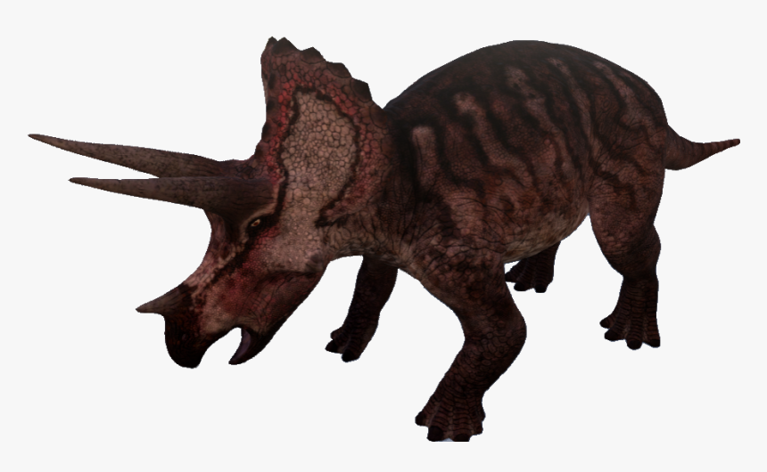 Banner Freeuse Download Triceratops The Wiki Fandom - Isle Dilophosaurus Transparent Background, HD Png Download, Free Download