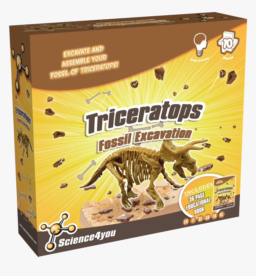 Fossil Excavation Triceratops , Png Download - Triceratops, Transparent Png, Free Download