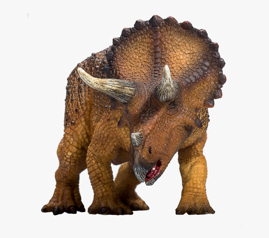 Mojo Triceratops 2019, HD Png Download, Free Download