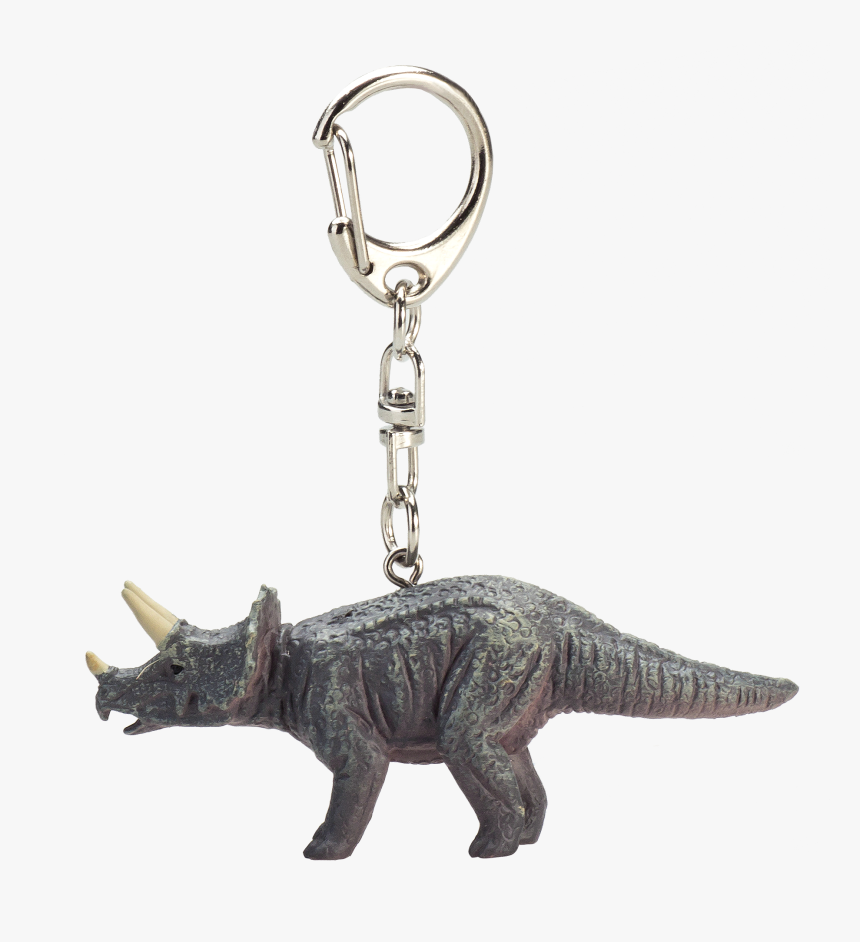 Keychain, HD Png Download, Free Download