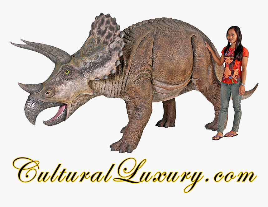 Triceratops Png, Transparent Png, Free Download