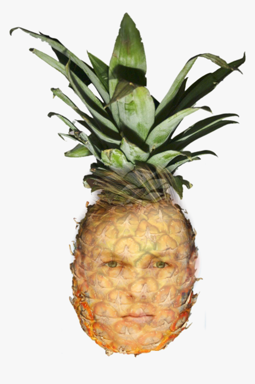 Transparent Tumblr Pineapple Png - Pineapple Photoshop, Png Download, Free Download