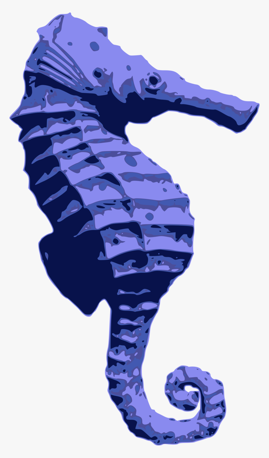 Blue Seahorse - Seahorse Png Blue, Transparent Png, Free Download