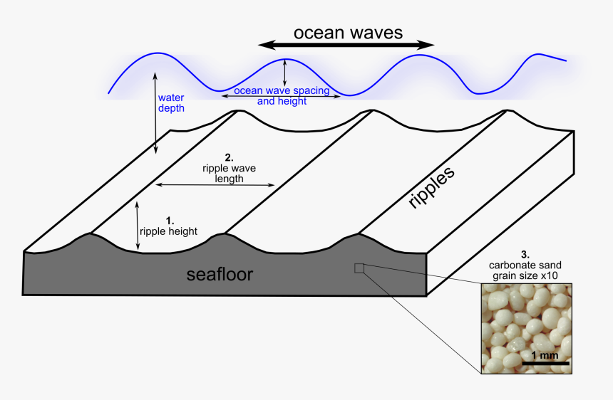 This Diagram Shows What Components Of A Wave Ripple - Ripple Of Water Diagram, HD Png Download, Free Download