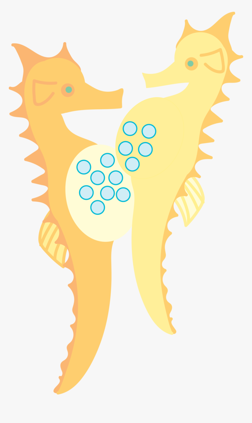 Seahorse - Illustration, HD Png Download, Free Download