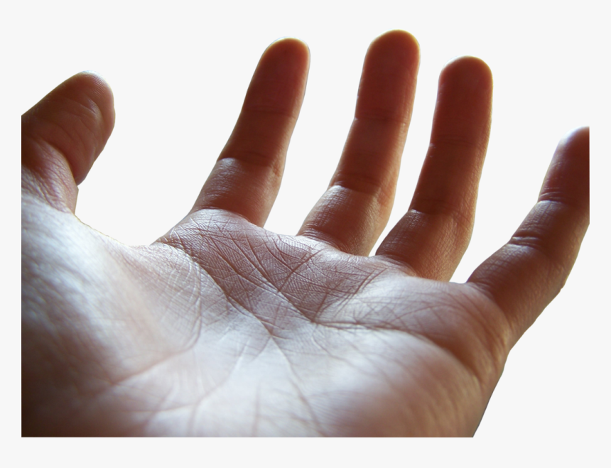 Open Palm Png - Open Hand Palm Up, Transparent Png, Free Download