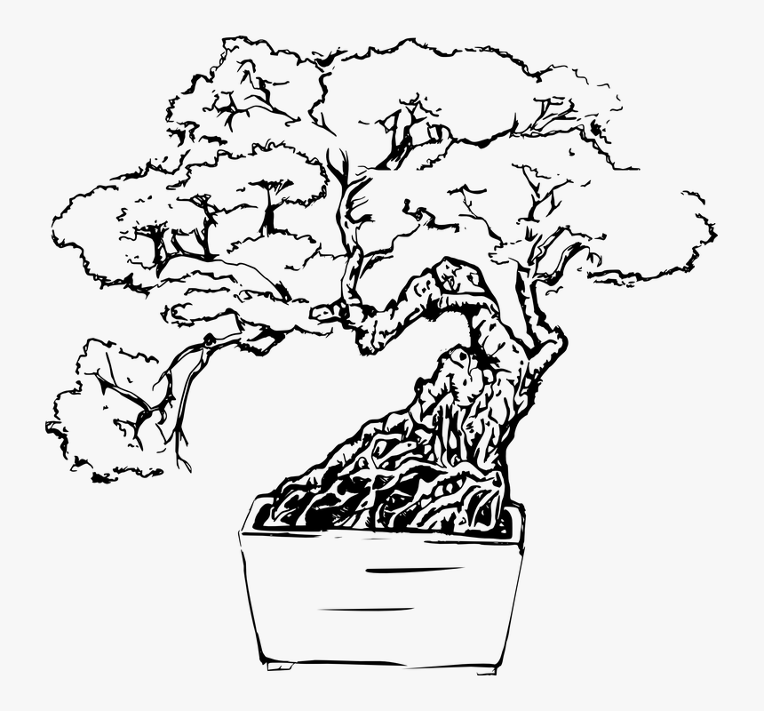 Thumb Image - Bonsai Tree Line Art, HD Png Download, Free Download