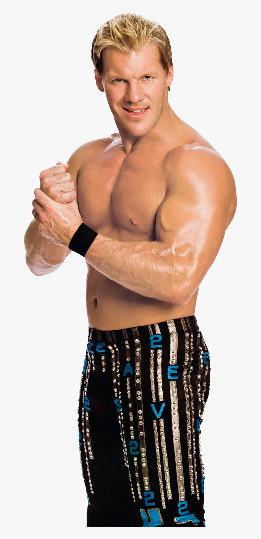 Wwe Chris Jericho , Png Download - Wwe Chris Jericho, Transparent Png, Free Download