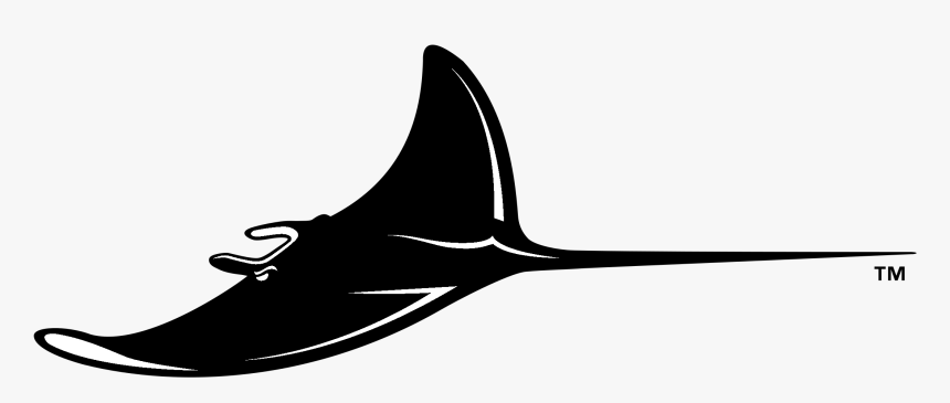 Tampa Bay Devil Rays Logo Black And White - Tampa Bay Rays, HD Png Download, Free Download