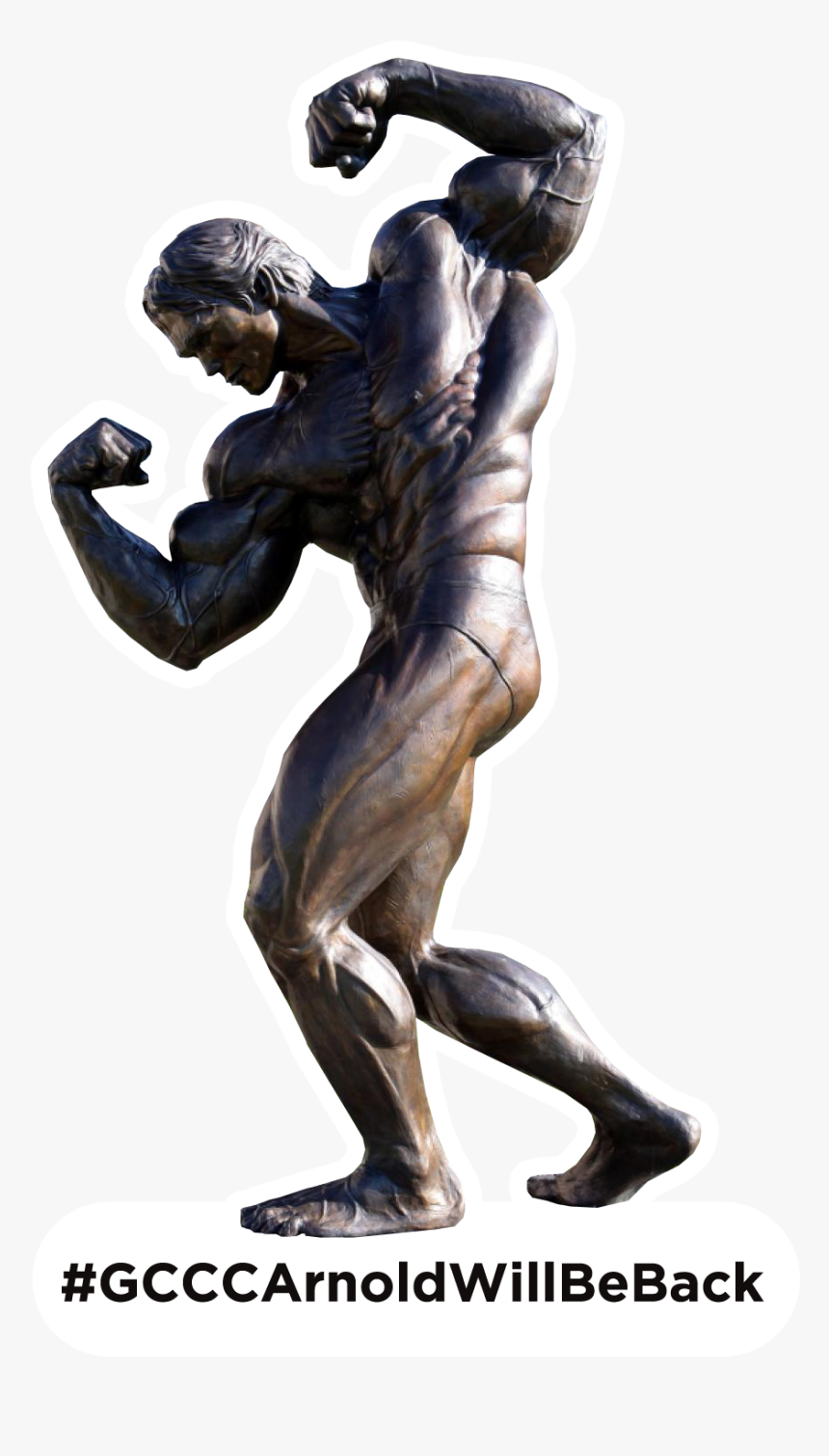 Arnold Statue Png, Transparent Png, Free Download