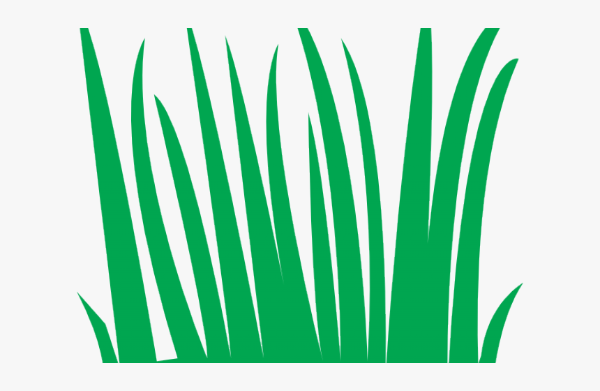 Swamp Clipart Grass Field - Rumput Animasi, HD Png Download, Free Download
