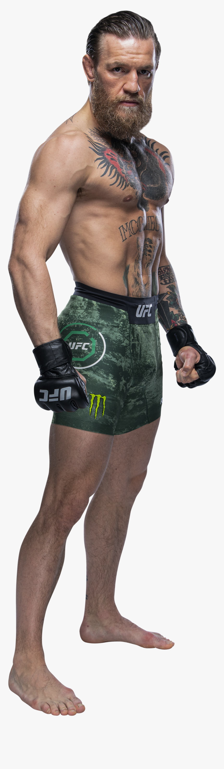 Conor Mcgregor Ufc Png, Transparent Png, Free Download