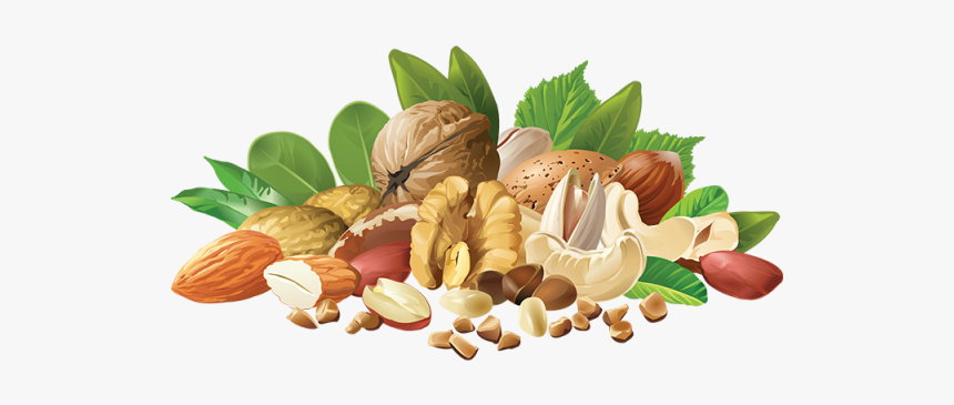 Realistic Different Nuts, Realistic Nuts, Different - Nuts Png, Transparent Png, Free Download