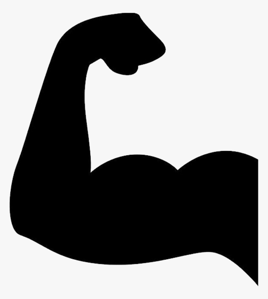 Muscle Png Image - Muscle Png, Transparent Png, Free Download
