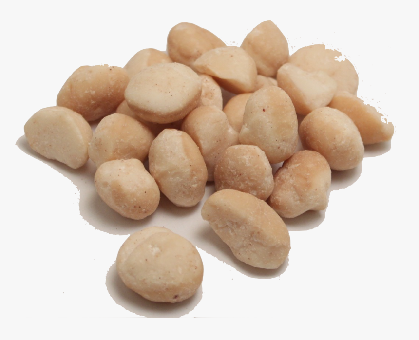 Macadamia Nuts Png Transparent Image - No Background Macadamia Nuts, Png Download, Free Download