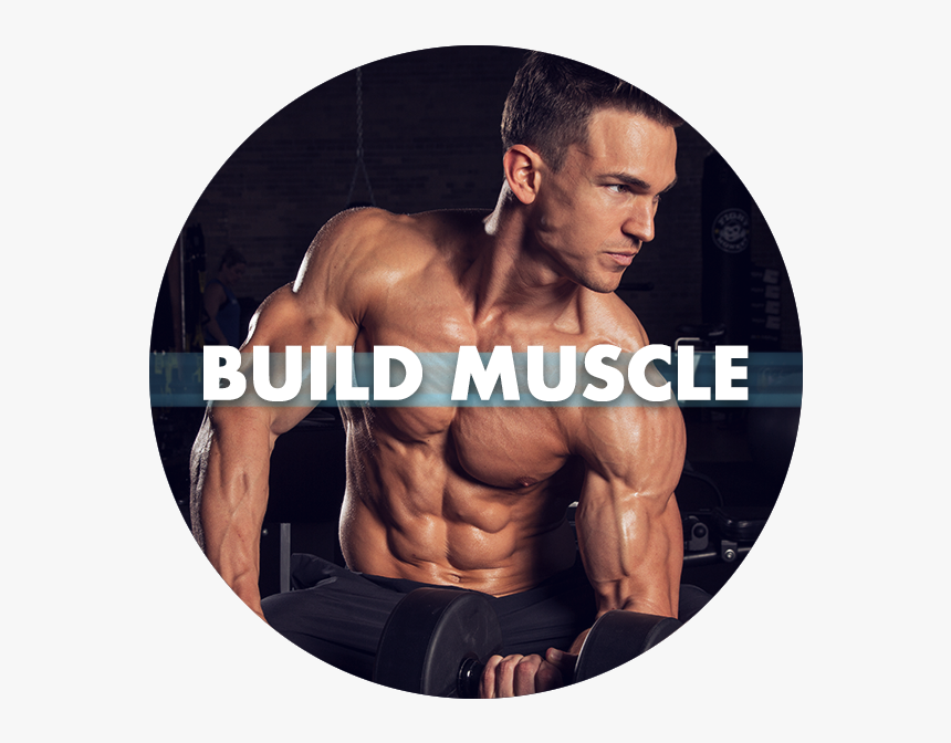 Build-muscle - Bodybuilding, HD Png Download, Free Download