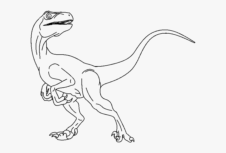 28 Collection Of Raptor Drawing Base - Dibujos Velociraptor Para Colorear, HD Png Download, Free Download