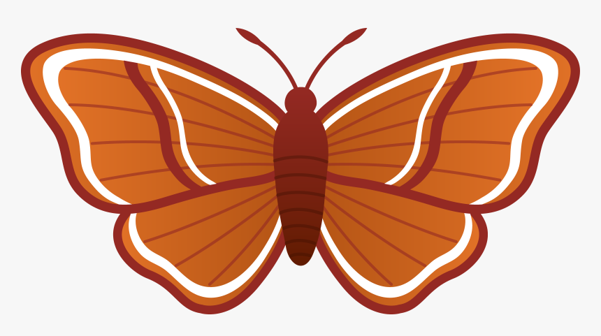 Free Moth Cliparts, Download Free Clip Art, Free Clip - Moth Clipart, HD Png Download, Free Download
