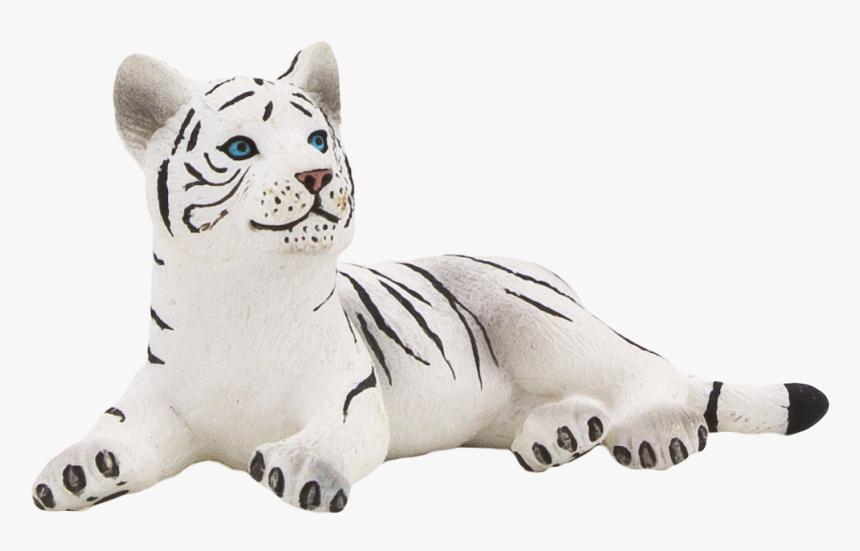 White Tiger Cub Png, Transparent Png, Free Download