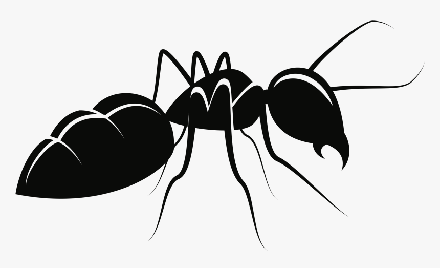 Line Clipart Ant - Ant Clipart, HD Png Download, Free Download