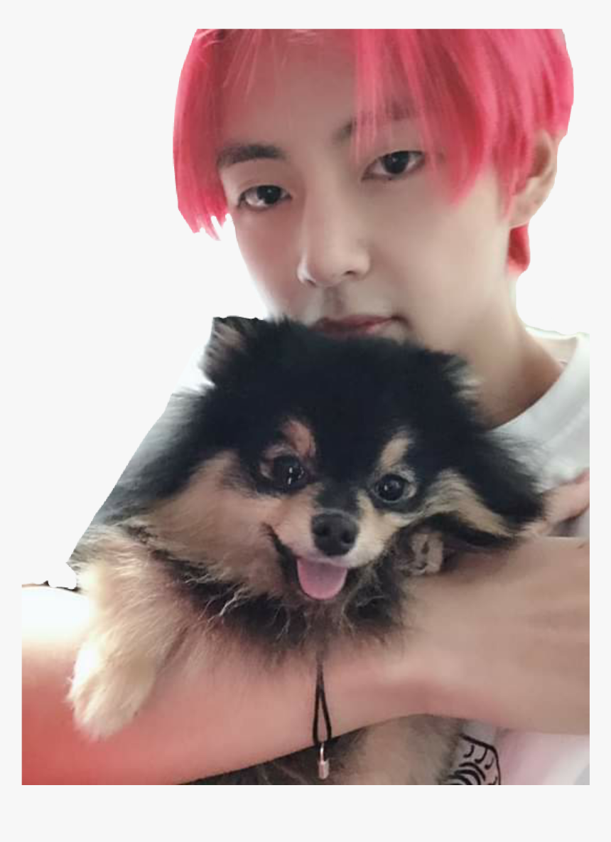 Aesthetic Taehyung And Yeontan, HD Png Download, Free Download