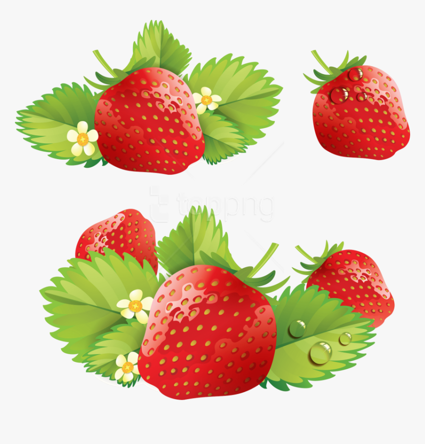 Free Png Download Strawberry Clipart Png Photo Png - Strawberry Vector, Transparent Png, Free Download