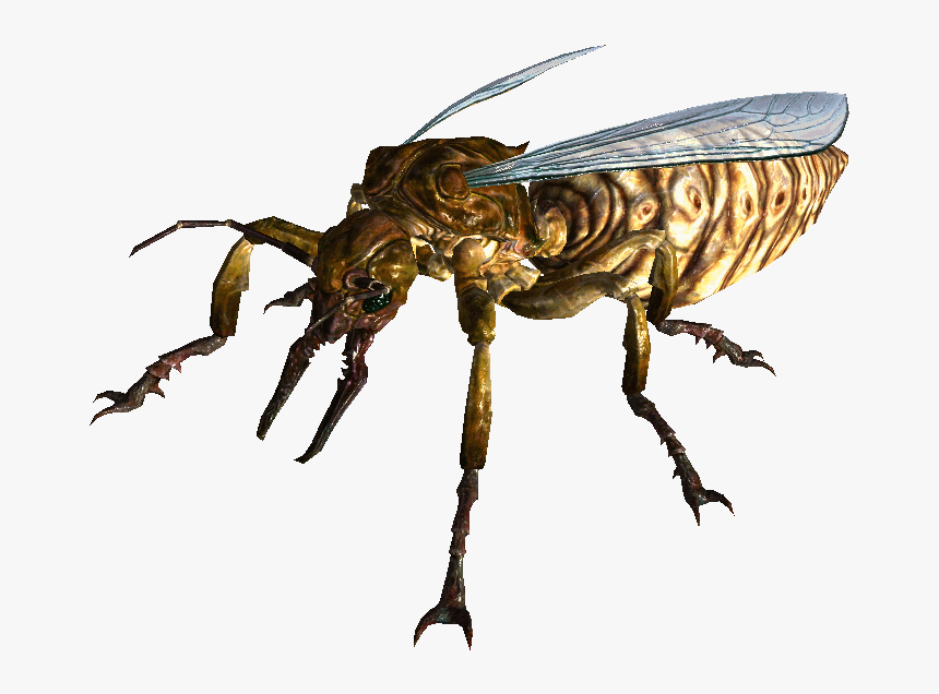 Image Giant Ant Png Non Alien Creatures - Giant Ant Queen D&d, Transparent Png, Free Download