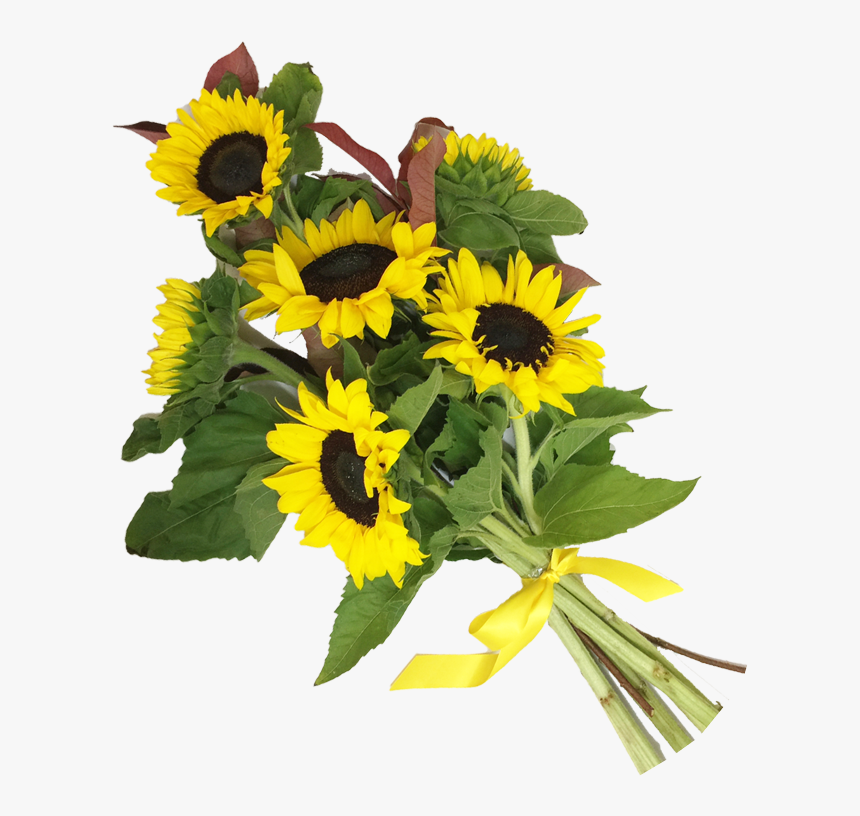 Sunflowers Png Bouquet - Bouquet Of Sunflower Png, Transparent Png, Free Download