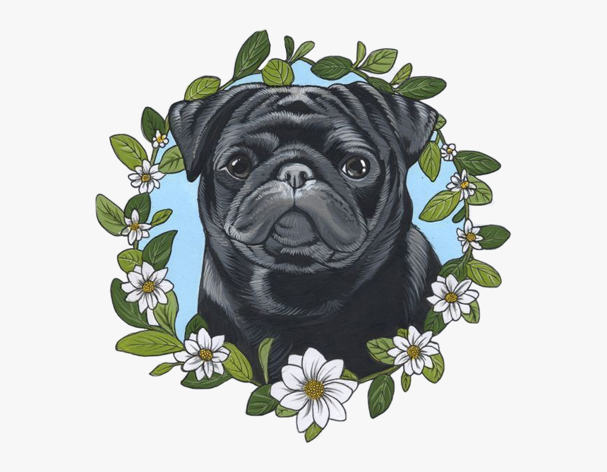 Transparent Pug Life Png - Black Pug Drawing, Png Download, Free Download