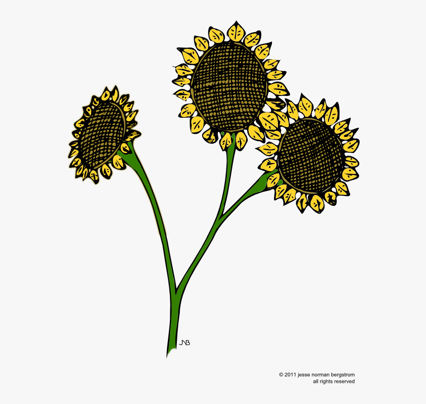 Sunflower, HD Png Download, Free Download