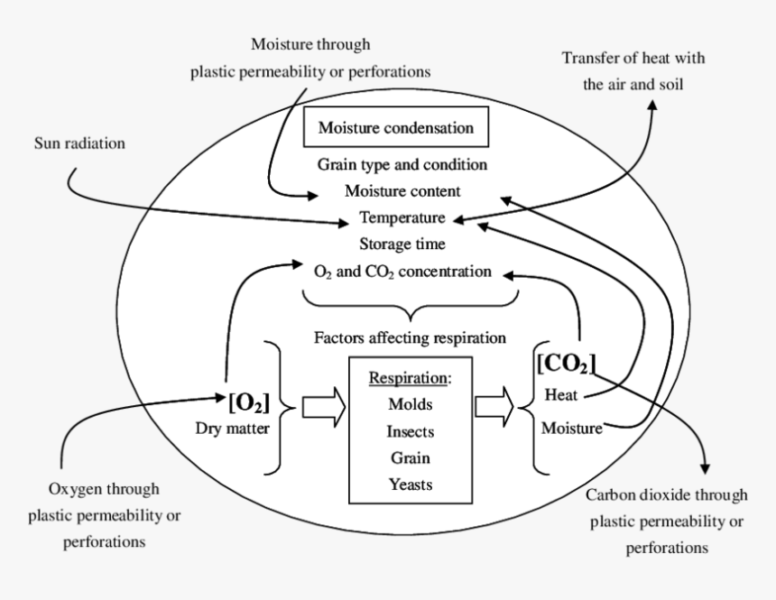 Diagram, HD Png Download, Free Download