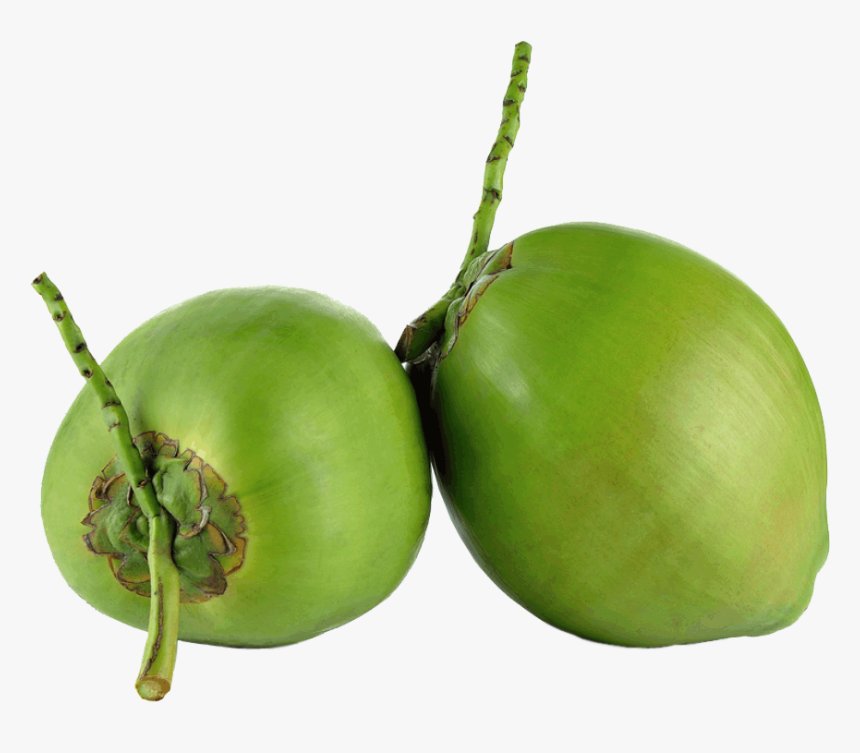 Água De Coco Png, Transparent Png, Free Download