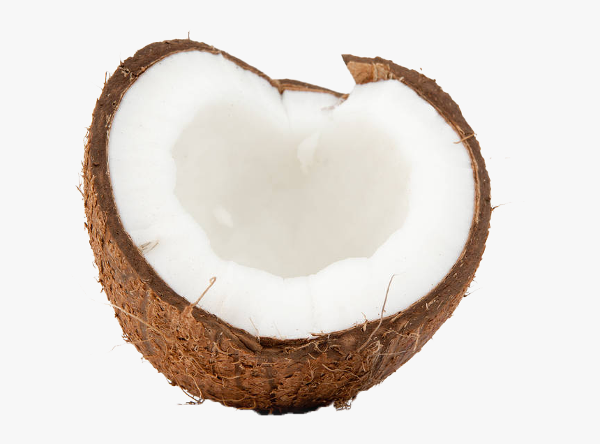 Imagenes De Coco Png - Transparent Background Coconut Png, Png Download, Free Download