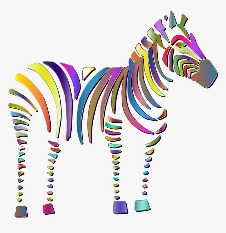 Zebra, HD Png Download, Free Download