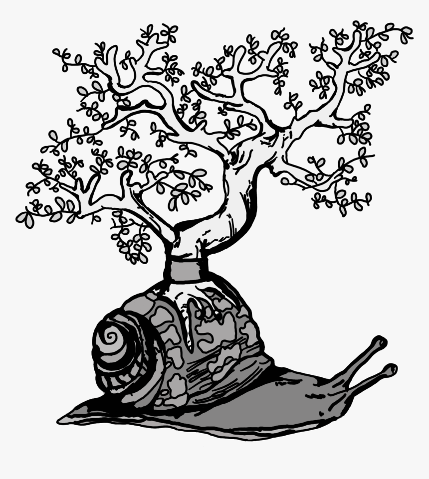 Snail - Illustration, HD Png Download, Free Download