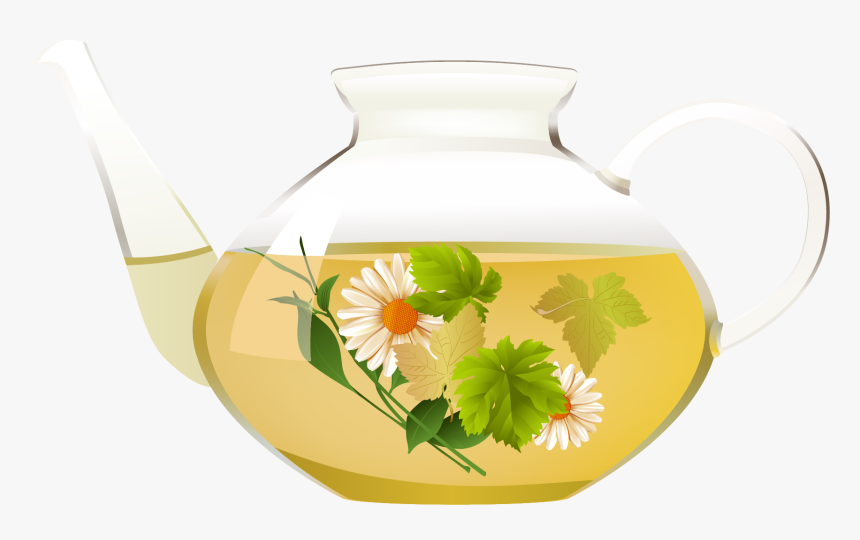 Chrysanthemum Tea Coffee Green Tea Clip Art - Chrysanthemum Tea Clip Art, HD Png Download, Free Download