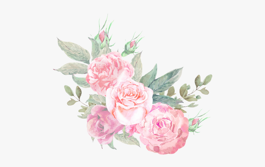 Garden Roses, HD Png Download, Free Download