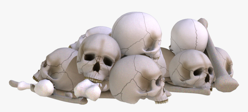 Picsart Skulls Png , Png Download - Skull Png For Picsart, Transparent Png, Free Download